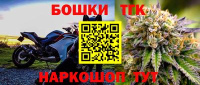 гашик Берёзовский