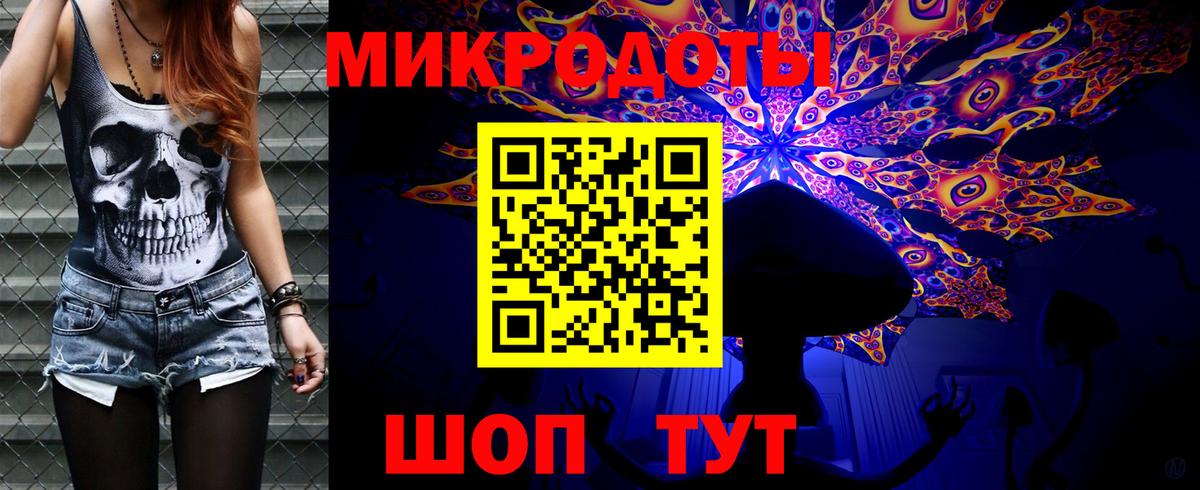 Псилоцибиновые грибы Cubensis Жуковский