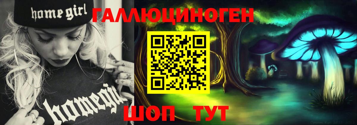 Жуковский  магазин продажи наркотиков  Галлюциногенные грибы Magic Shrooms  Вход с VPN  Псилоцибиновые грибы мицелий 
